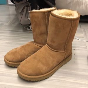 Classic short chestnut uggs